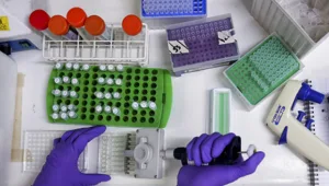 עלייה דרמטית בהידבקות במחלות מין