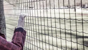 המחדל של משרד החינוך