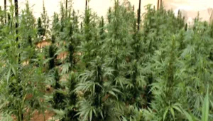 בשטחי אש של צה"ל