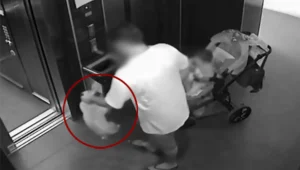 נעצר חשוד בהתעללות בכלב