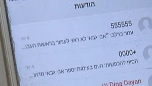 הודעות ה"ספאם" של הח"כים