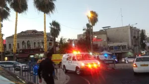 התארגנות מקומית