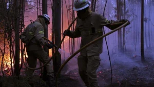 עשרות הרוגים בגל שריפות