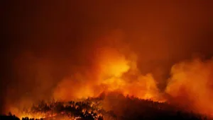 יד מכוונת גרמה לשריפה?