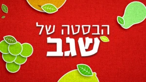 הבסטה של שגב