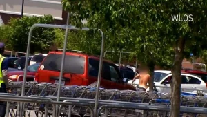 נקמת האם ההריונית כלפי האיש שגנב את ארנקה מעגלת הקניות