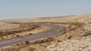 שימוע להנהלת המפעל שאחראי לדליפת הענק