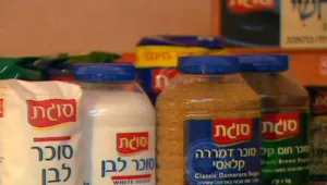 "המדינה יכולה להציל את המפעלים"