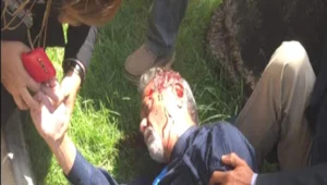 והכו פוליטיקאים