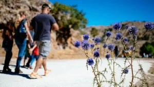 איפה ישראל בדירוג המדינות "העצלניות" בעולם?