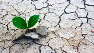 זה עניין של לחות