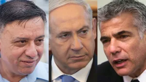  המומחה מנתח