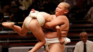 ילדי הסומו של יפן