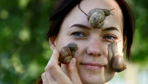 שיחה צפופה עם חלזונות