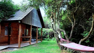 הצימר שמזמין אתכם לקבוע את מחיר האירוח