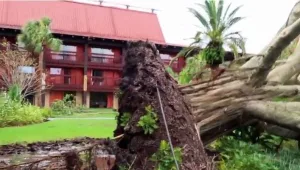 כך נראה דיסני פלורידה אחרי הסופה