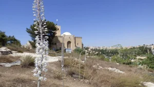 הקלה בחום