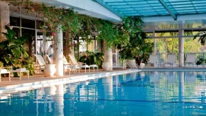  איפה מתחבאת אחוזת הבריאות המפנקת של הצפון?