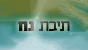 תיבת נח