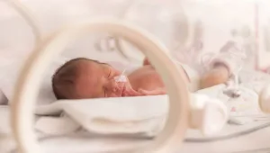 תמנון לכל פג