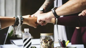 תפקידים בתחום הדיגיטל – אז במה כדאי לי לעסוק?