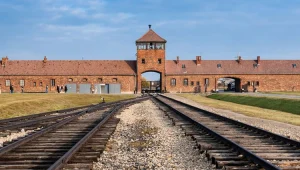 מה באמת מפריע לפולנים ואיזה ביטוי הביא אותם לחוקק את החוק החדש?