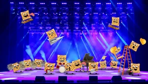 סינימיניס - תקנון