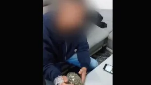 "טלגראס לא ממש שומרים את המידע שלהם"