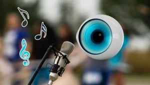 תקנון פעילות האח הגדול