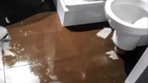 איך מתמודדים עם תופעת ההתנהגות הבעייתית של ישראלים בחו"ל?