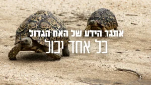 חושבים שאתם יודעים הכל על האח הגדול? תוכיחו!