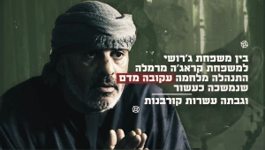 הכירו את הגנגסטרים | עלי ג'רושי "הבורר"