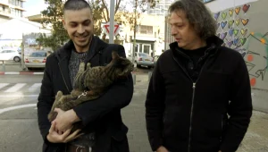 הערב ב"שי בשידור": האנשים שרוצים להפוך את החתול שלהם לכלב