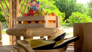 השורדות מגיעות לבקתה ונהנות מההפתעה