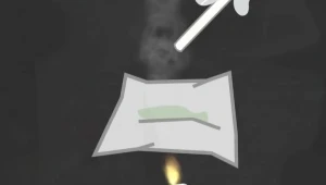 סכנת משככי הכאבים: 3 מתו מהסנפת מדבקה לטיפול בחולי סרטן