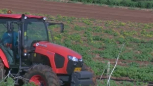 "הרעיל 167 דונם של קרקע חקלאית": אישום נגד צעיר מרהט • תיעוד