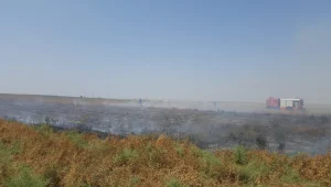 שש אמנון לוי 04.04.19 התכנית המלאה - מחאת עוטף עזה