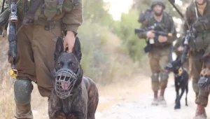 "מתייחסים לכלבים שלנו כלוחמים": השילוב המנצח של יחידת עוקץ