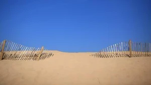 התחזית: ירידה קלה בטמפרטורות. בראשון - ללא שינוי