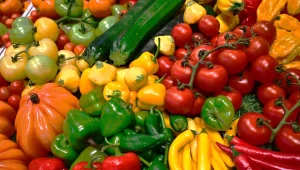 מחקר: 20% מאזרחי העולם מתים מתזונה שגויה; ישראל במקום האחרון