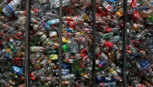 "ישראל מכורה לפלסטיק": העיר שמצליחה להילחם בחומר המזהם