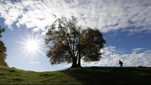 התחזית: ללא שינוי ניכר בטמפרטורות; בסופ"ש - גשמים מקומיים