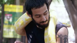 אבודים, עונה 11, פרק 7: המסע של תומר