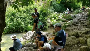 מזג האוויר: בהיר עם עלייה קלה בטמפרטורות