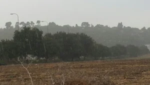 התחזית: גשום עם היתכנות לברקים ורעמים; חשש לשיטפונות בנחלים