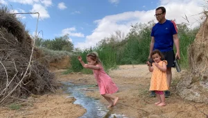 תחזית לחול המועד: היום תחול התקררות; בהמשך השבוע - חם מהרגיל