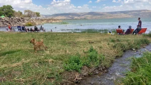 בשיא עונת התיירות: שני חופים פופולריים בצפון נסגרו בשל זיהום