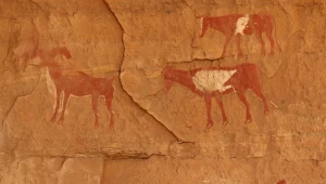 צרפת: ראש עיר הציע 2,000 יורו לפענוח כתב סתרים על סלע