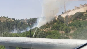 שריפה פרצה סמוך למבשרת ציון: מספר בתים פונו