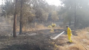 בתום הערכת מצב: סכנה להתחדשות האש; סיוע בינ"ל החל להגיע לארץ